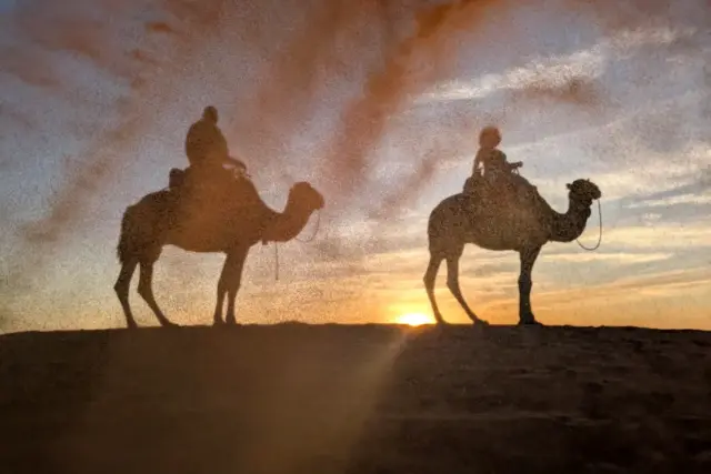 Camellos en fila atravesando las dunas de Erg Chebbi, en Merzouga, al caer el sol